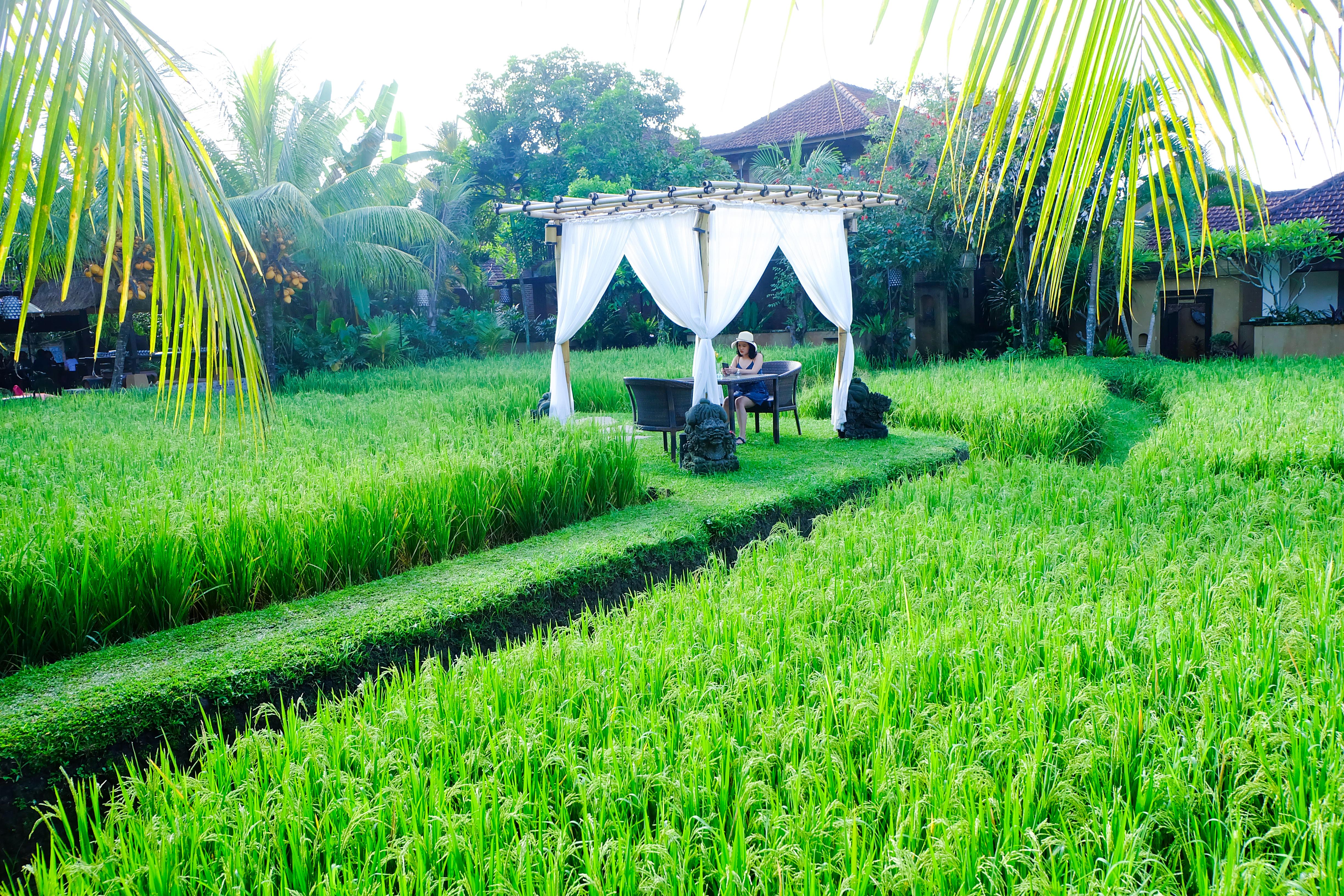 Bebek Tepi Sawah Restaurant & Villas Ubud Zewnętrze zdjęcie