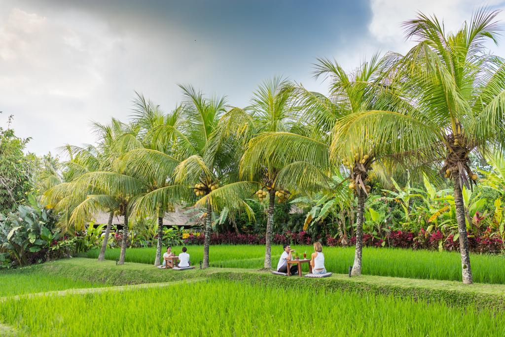 Bebek Tepi Sawah Restaurant & Villas Ubud Zewnętrze zdjęcie